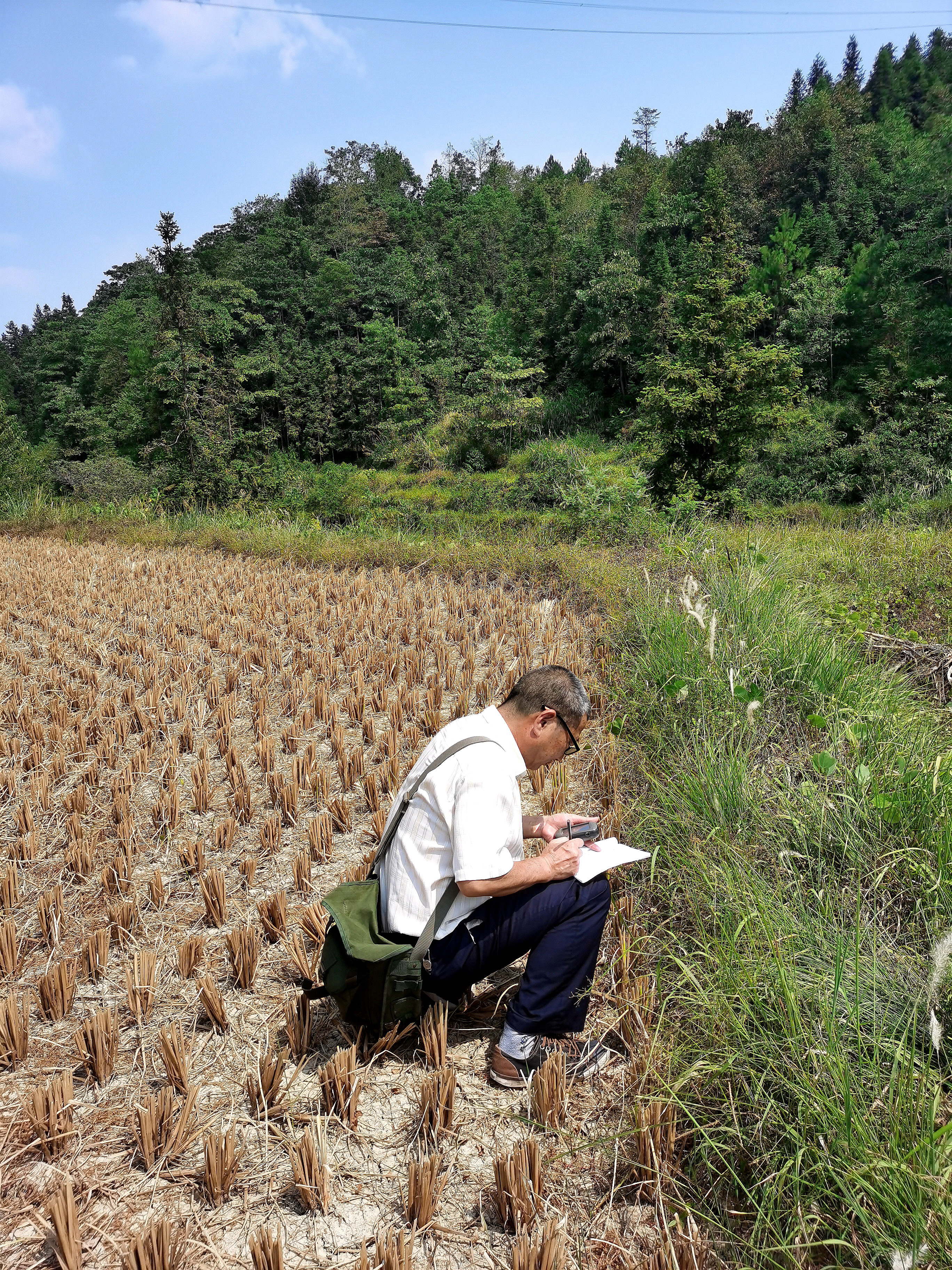 微信图片_20240118104411.jpg 微信图片_20240118104411.jpg