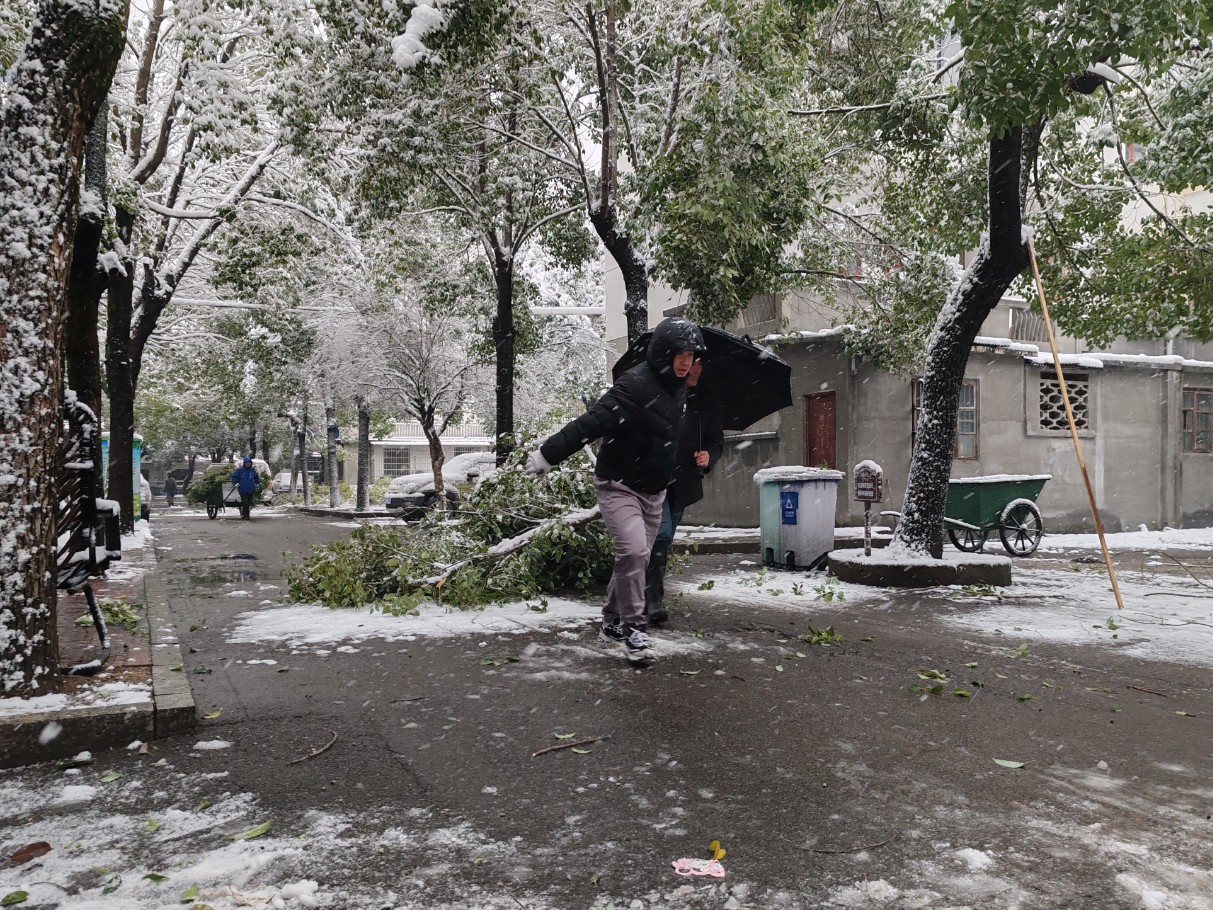 微信图片_20240124115712.jpg 微信图片_20240124115712.jpg