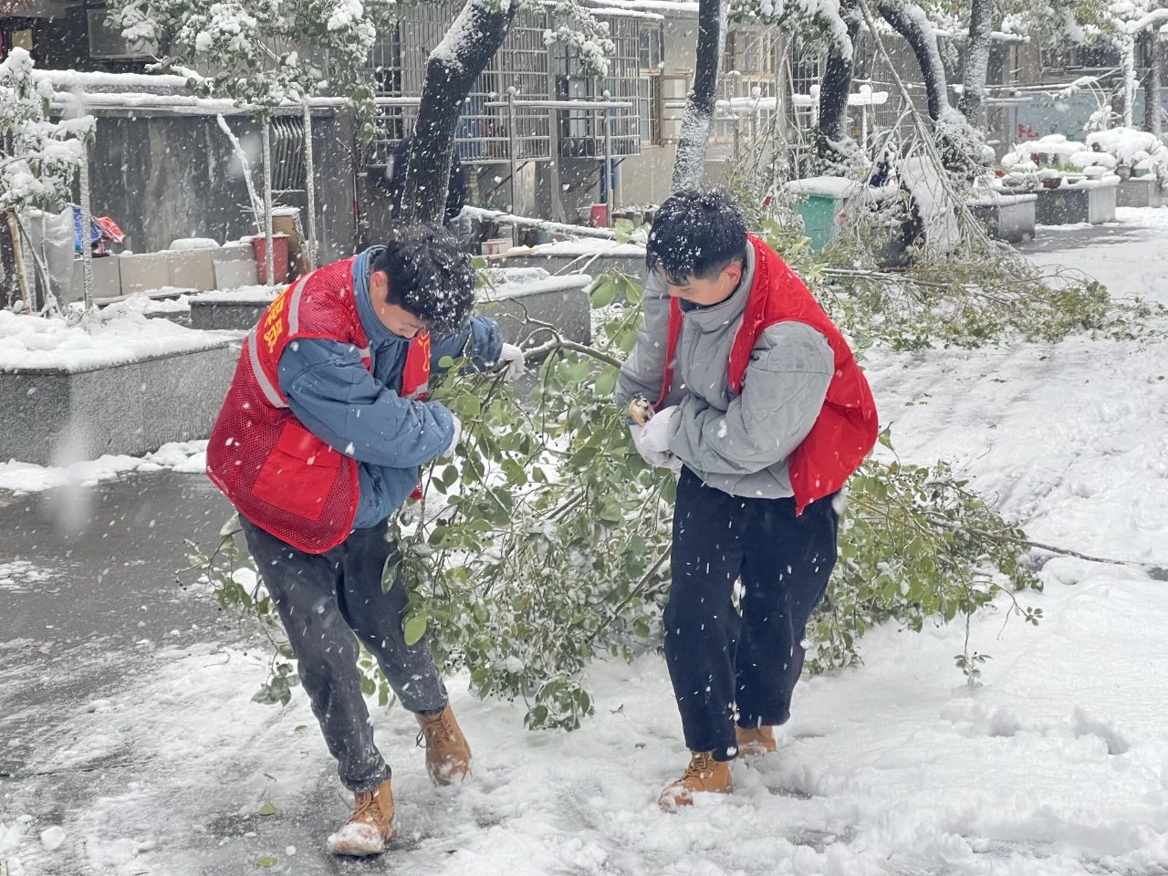 微信图片_20240124115715.jpg 微信图片_20240124115715.jpg